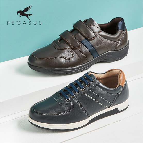 Shop Pegasus